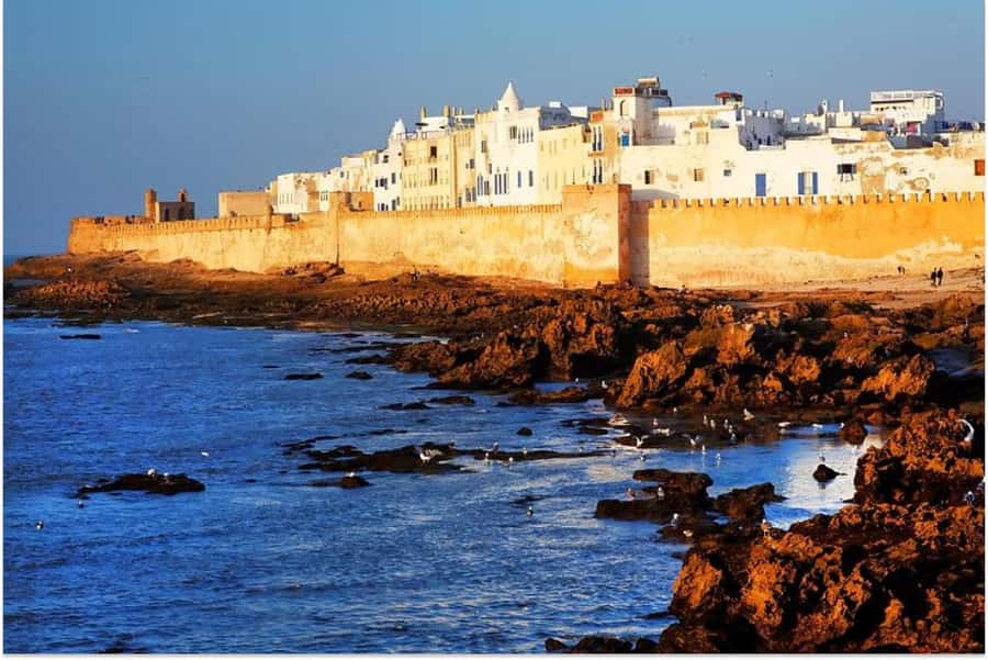 Marrakech: Essaouira Day Trip with Guided Tour - The port, blue boats, and lunch choices