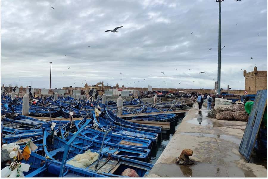 Marrakech: Essaouira Day Trip with Guided Tour - Languages, comfort, and who should book