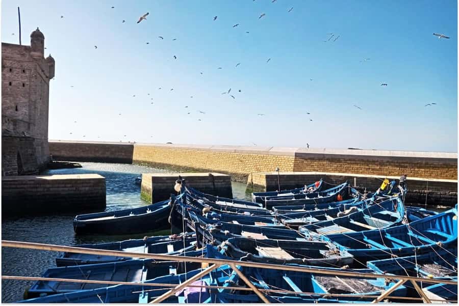 Marrakech: Essaouira Day Trip with Guided Tour - Seeing how argan oil is made