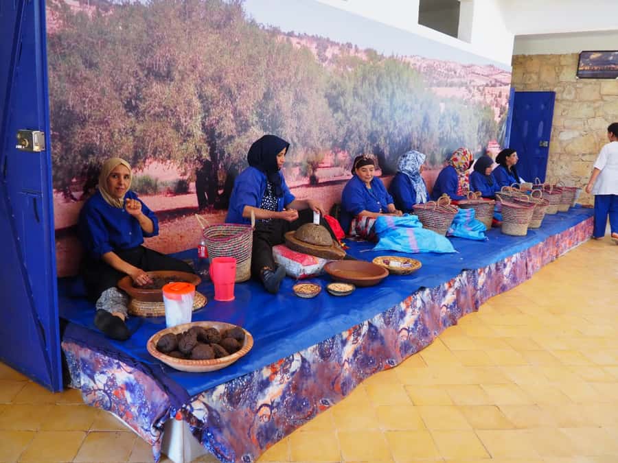 Marrakech: Essaouira Day Trip with Transfers and Co-op Visit - What the free time does and does not include