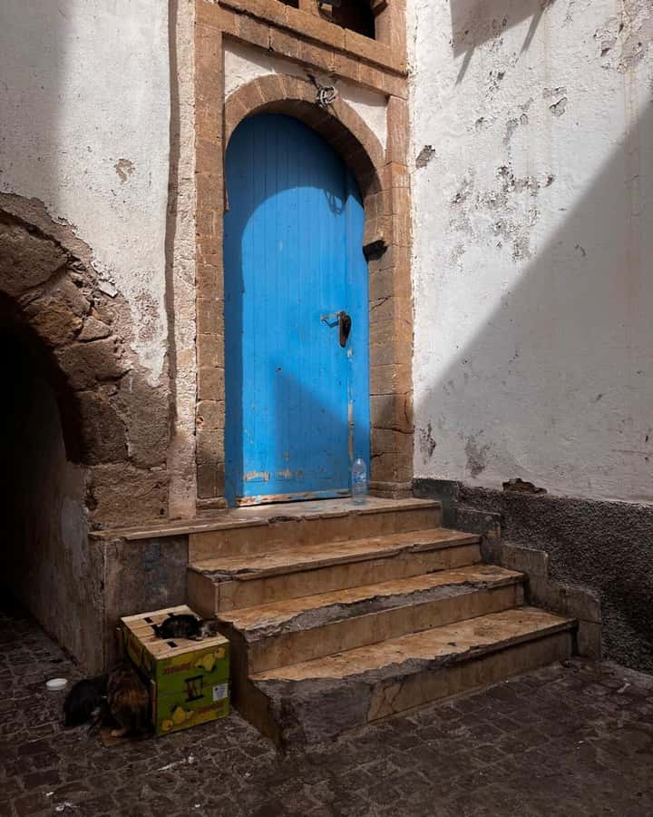 Marrakech: Essaouira Day Trip with Transfers and Co-op Visit - Is $14 good value?