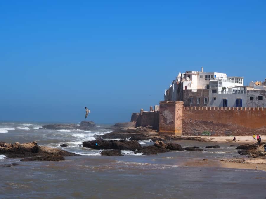 Marrakech: Essaouira Day Trip with Transfers and Co-op Visit - Morning pickup and the long road west