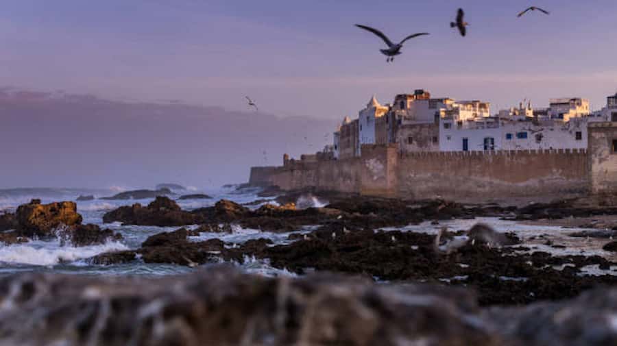 Marrakech: Essaouira Full-Day Trip - Why Essaouira makes a good break from Marrakech