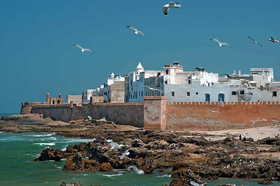 Marrakech: Essaouira Full-Day Trip - Lunch in Essaouira: fresh fish or your own choice