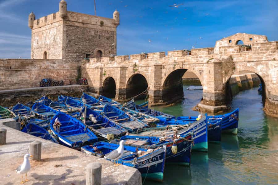 Marrakech: Essaouira Full-Day Trip - The 8:00 departure and the long Atlantic road