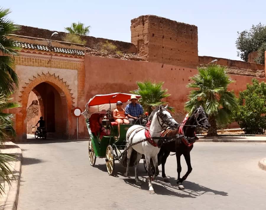 Marrakech Excursion Full Day Trip From Agadir - How the $45 price holds up