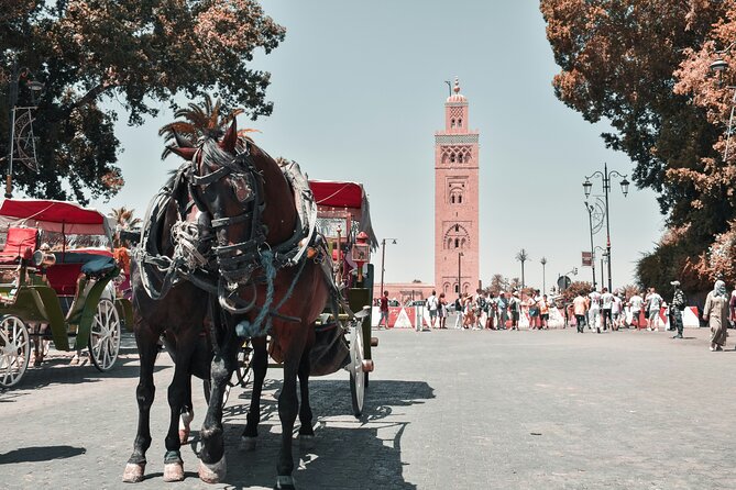 Marrakech Excursion Mini Group Camel Ride from Casablanca - Saadian Tombs and the city’s royal past