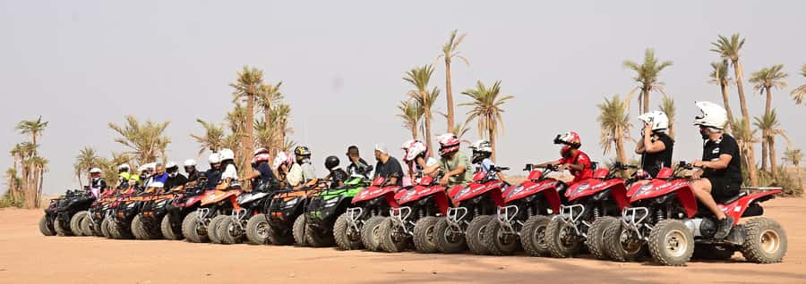 Marrakech:excursion quad in Oasis palm & jbilat desert,tea - Palm groves, dunes, and Berber villages
