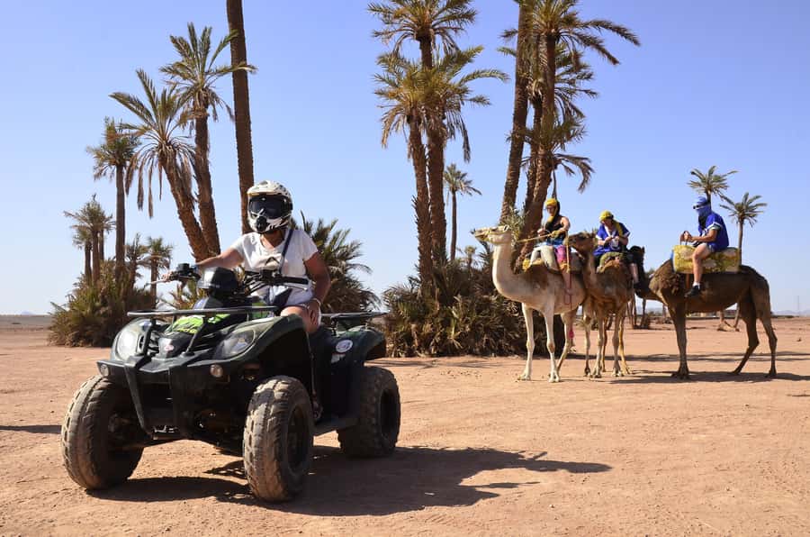 Marrakech:excursion quad in Oasis palm & jbilat desert,tea - Final call: book it for a lively short outing