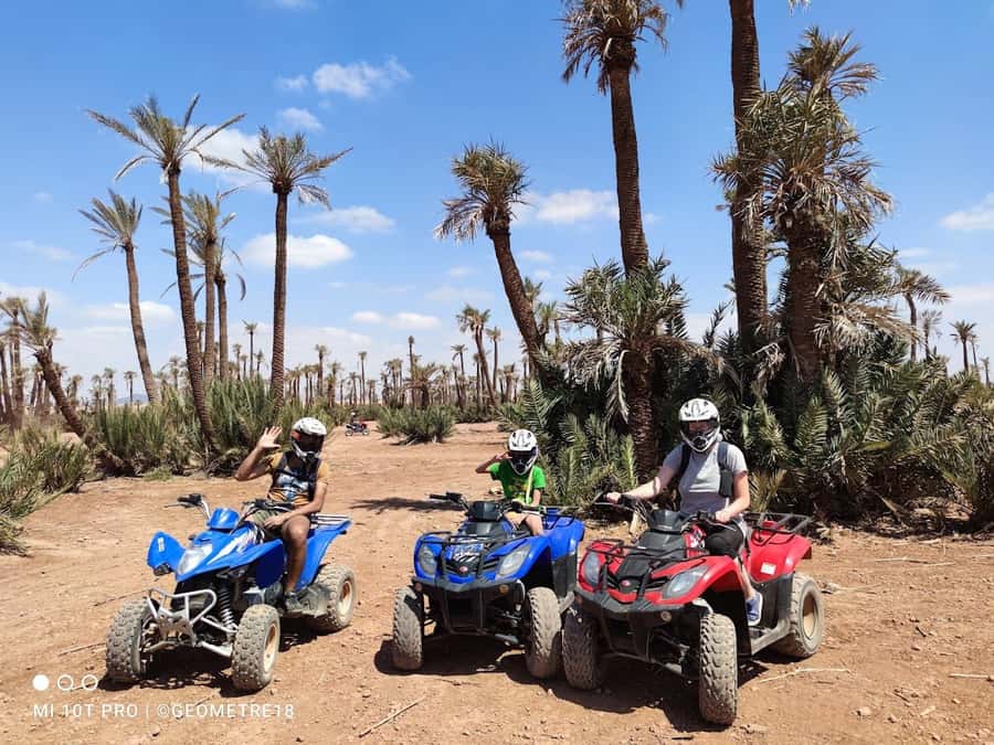 Marrakech, explore the palm grove desert by quad bike - Photo stops among the palms