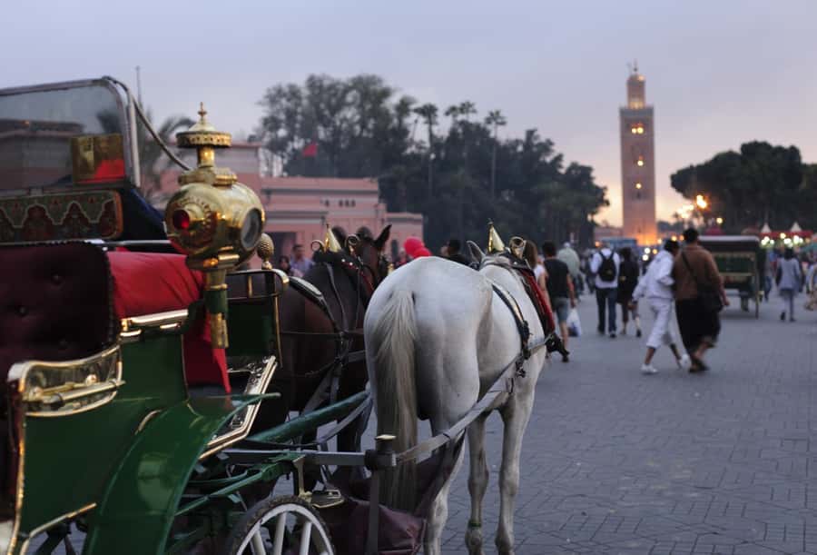Marrakech Full-Day Guided Tour with Lunch - Koutoubia and the first look at the Red City