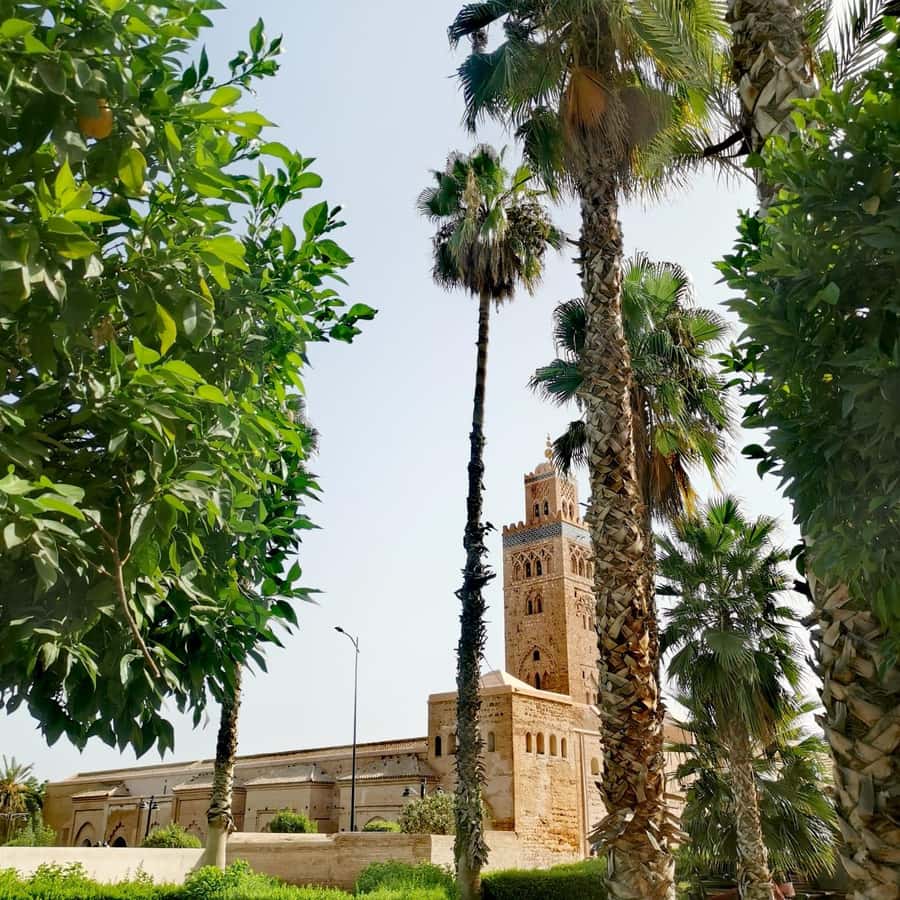 Marrakech: Guided Bike Tour with a local Guide - Jemaa el-Fnaa for the strongest city atmosphere