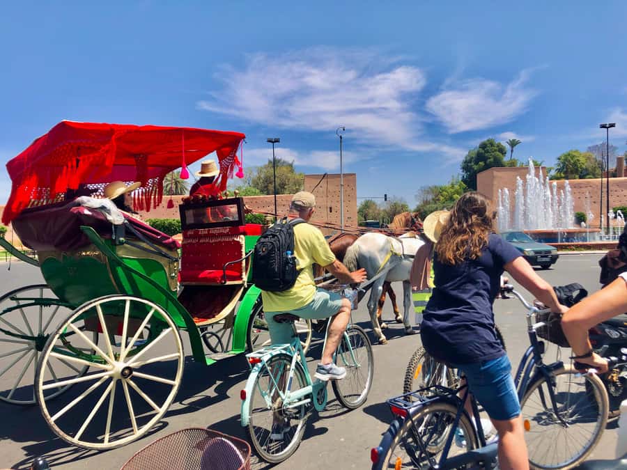 Marrakech:Guided City Cycling Tour - Culture, Colors & Charm - Who gets the best value from the $32 price