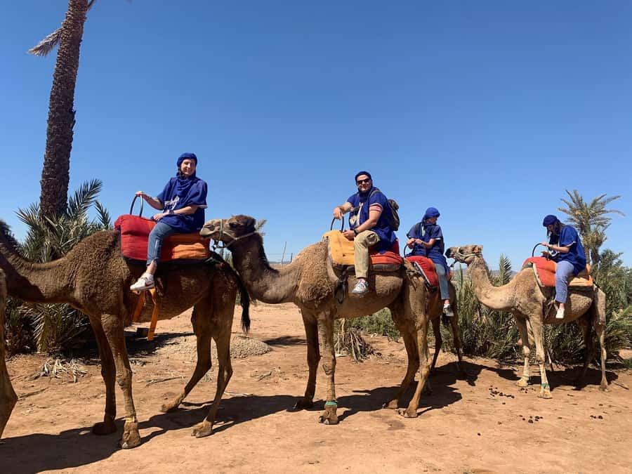 Marrakech: Guided Quad Bike and Camel Ride Tour with Tea - The 30-minute ride from Marrakech to the Palmeraie