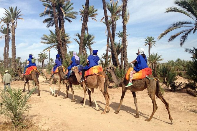 Marrakech: Half-Day Camel Ride in Palm Grove - From Marrakech to the Palmeraie