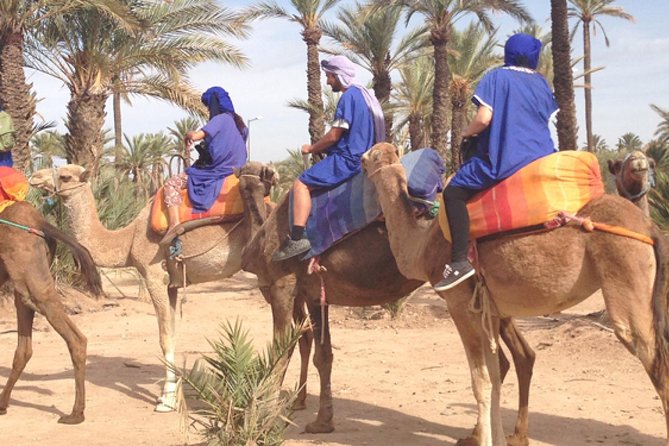Marrakech: Half-Day Camel Ride in Palm Grove - What the Palm Grove adds to the ride