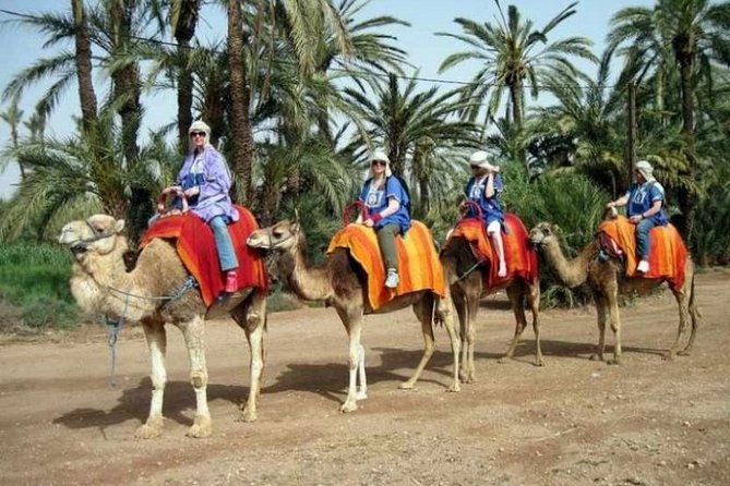 Marrakech: Half-Day Camel Ride in Palm Grove - Mounting the dromedaries