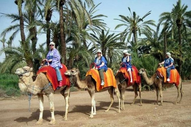 Marrakech: Half-Day Camel Ride in Palm Grove - Dressing for the camel ride