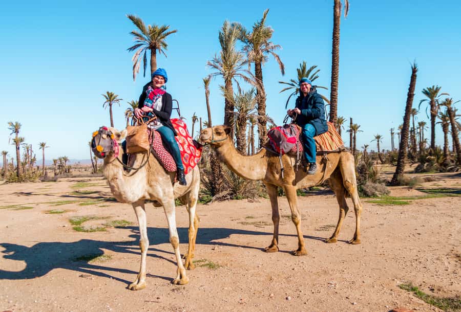 Marrakech: Half-Day Desert Quad Tour with Camel Ride - Tea, bread, honey, and a short village stop