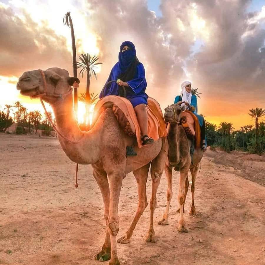 Marrakech: Half-Day Desert Quad Tour with Camel Ride - Safety, comfort, and the dust problem