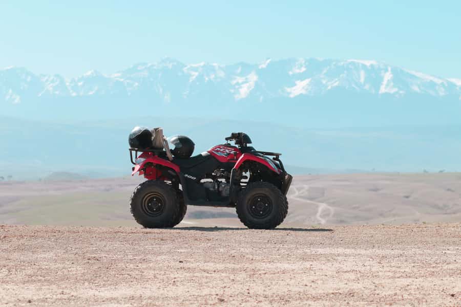 Marrakech: Half-Day Desert Quad Tour with Camel Ride - Who should book this Marrakech quad and camel trip?
