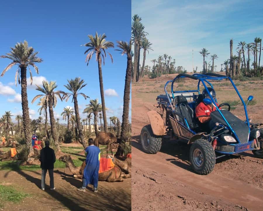 Marrakech: Half-day Dunes Trip With Buggy and Camel Ride - Key points to know before you book