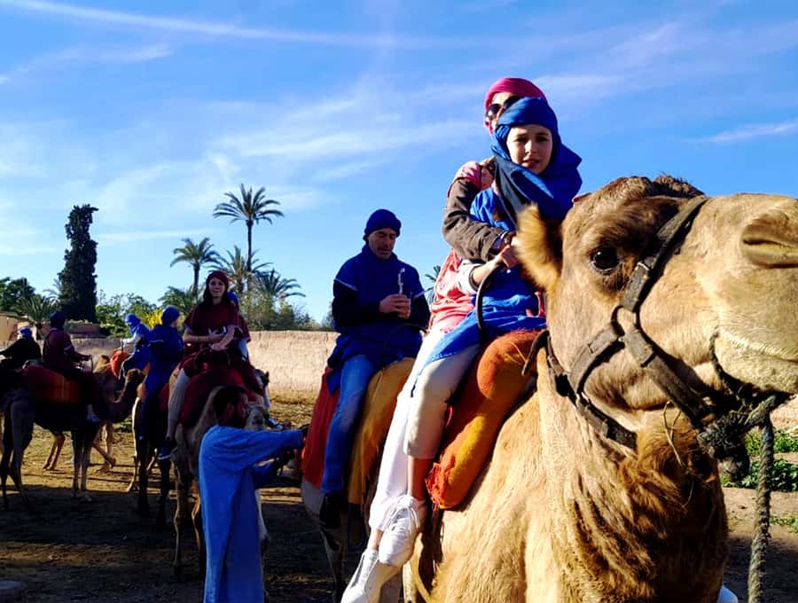 Marrakech: Half-day Dunes Trip With Buggy and Camel Ride - What this Marrakech outing really offers