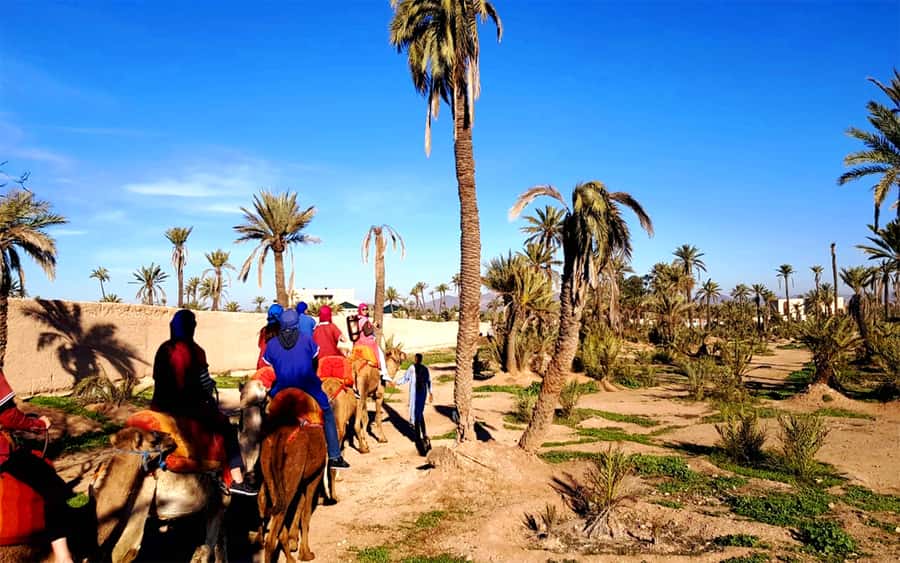 Marrakech: Half-day Dunes Trip With Buggy and Camel Ride - Who will enjoy this half-day experience?