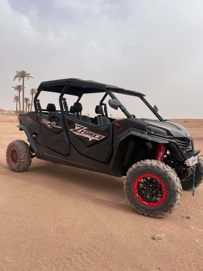 Marrakech: Half-day private tour in a 1000cc buggy in the Agafay Desert - Who should book this Agafay buggy trip?