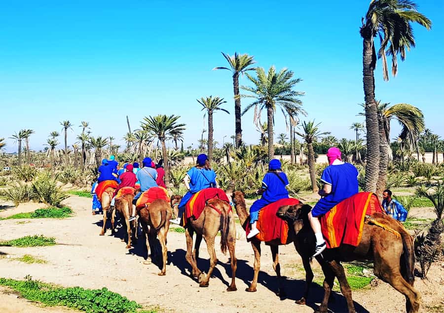 Marrakech: Half-Day Tour with Buggy Ride, Camel Ride and Spa - Should you book it?