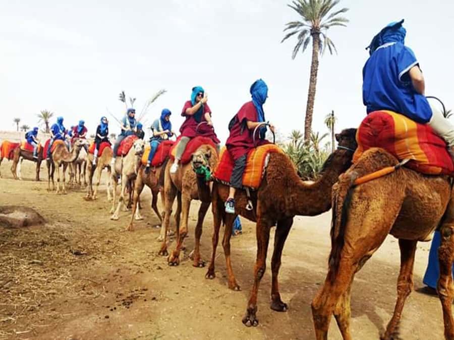 Marrakech: Half-Day Tour with Buggy Ride, Camel Ride and Spa - From Marrakech pickup to the Berber village