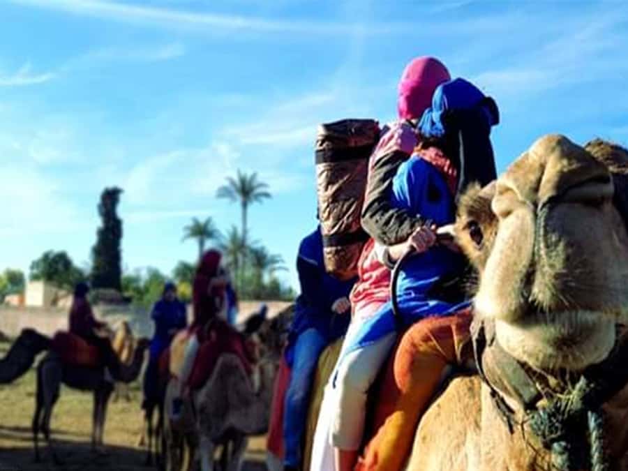 Marrakech: Half-Day Tour with Buggy Ride, Camel Ride and Spa - Coffee, snacks, and a closer look at village life