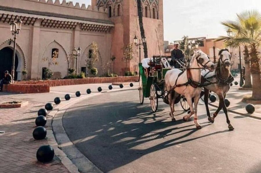 Marrakech: Hidden Souks Shopping Tour with Private Guide - Route Sidi Abdelaziz and the final shopping choices