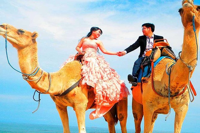 Marrakech High Atlas mountains 3 Valleys waterfalls & Camel Ride - Agafay and the camel ride