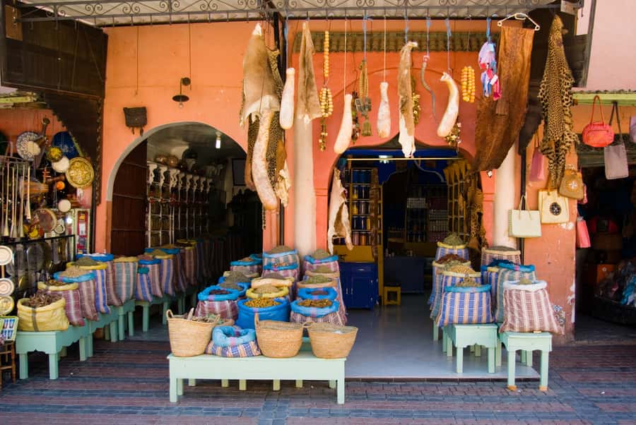 Marrakech: Historical Discovery Tour - The guides make the short schedule work