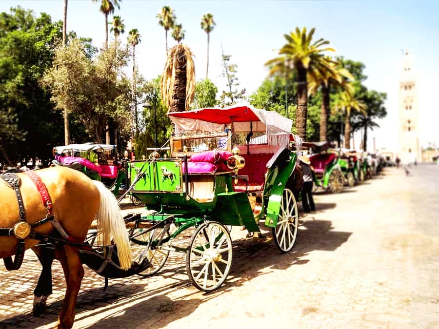 Marrakech: Horse-Drawn Carriage Tour - Key points to know before you book