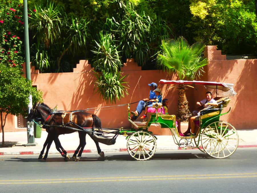 Marrakech: Horse-Drawn Carriage Tour - A gentle route through Marrakech after dark