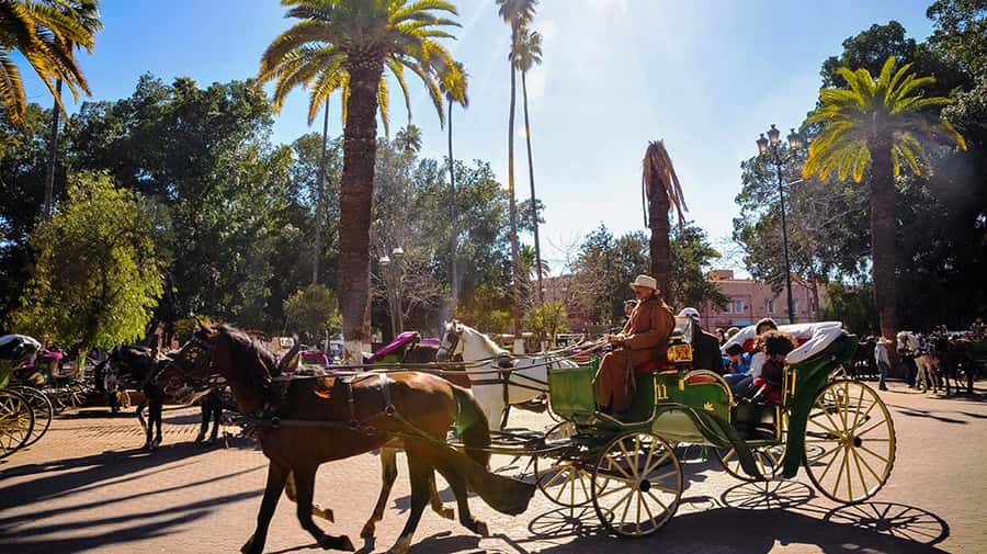 Marrakech: Horse-Drawn Carriage Tour - Hivernage shows another side of the city