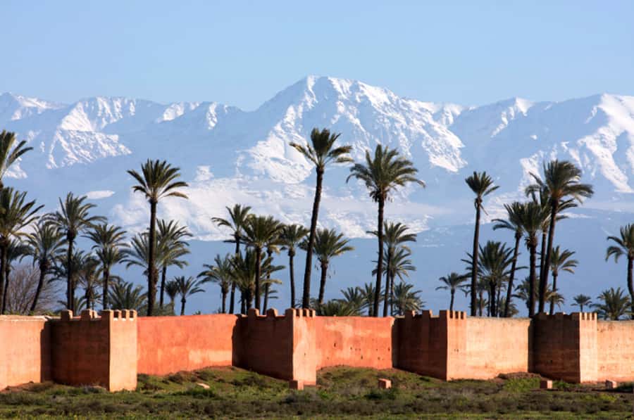 Marrakech: Horse-Drawn Carriage Tour - Koutoubia Mosque and the rose gardens