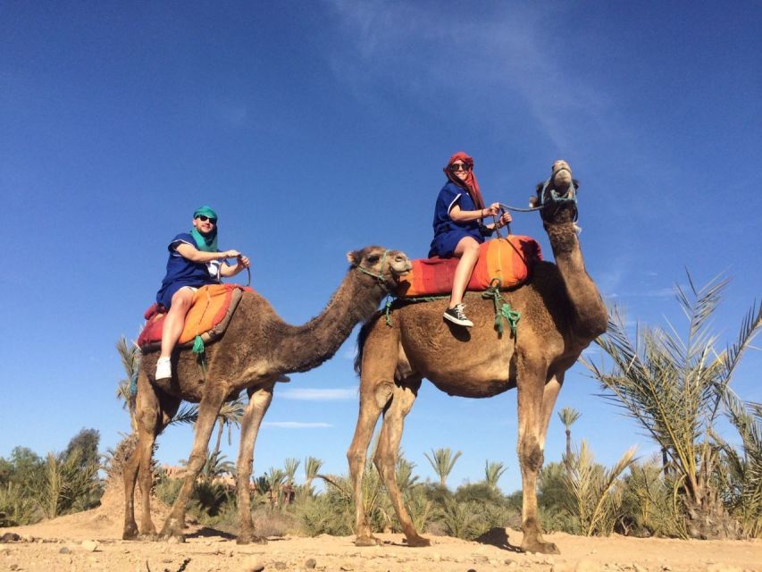 Marrakech: Majorelle Garden Entry Tickets Online - Key points before you book