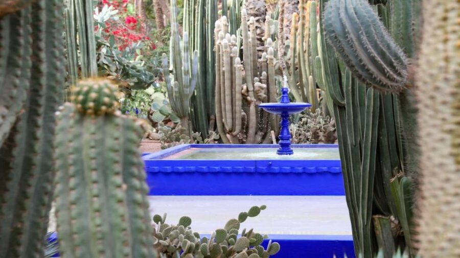 Marrakech: Majorelle Garden Entry Tickets Online - Why the Majorelle Garden is worth seeing