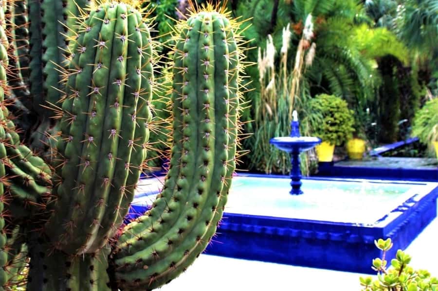 Marrakech: Majorelle Garden, Museums Tickets, & Audio Guide - The Berber Museum and its objects
