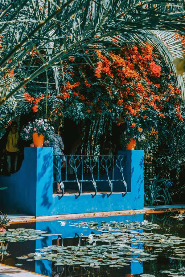 Marrakech: Majorelle Garden, Museums Tickets, & Audio Guide - When to book and what to carry