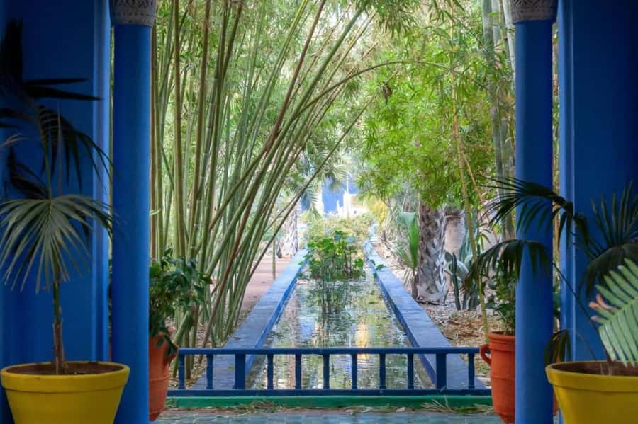Marrakech: Majorelle Garden with a Digital Audio Guide App - Why Majorelle Garden feels unlike an ordinary park