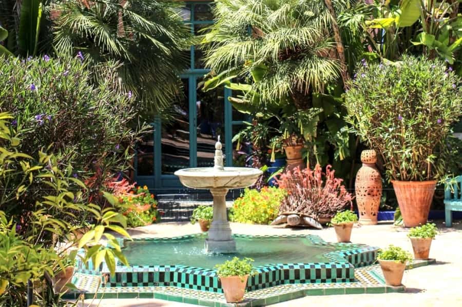 Marrakech: Majorelle Garden with a Digital Audio Guide App - A one-hour walk through color and plant life