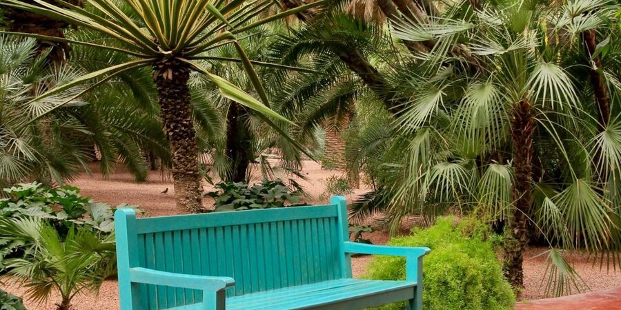 Marrakech: Majorelle Garden, YSL, and Berber Museum Entry - Is $58 good value?