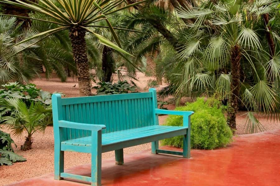 Marrakech: Majorelle Garden, YSL, and Berber Museum Entry - Who will enjoy this combination most?