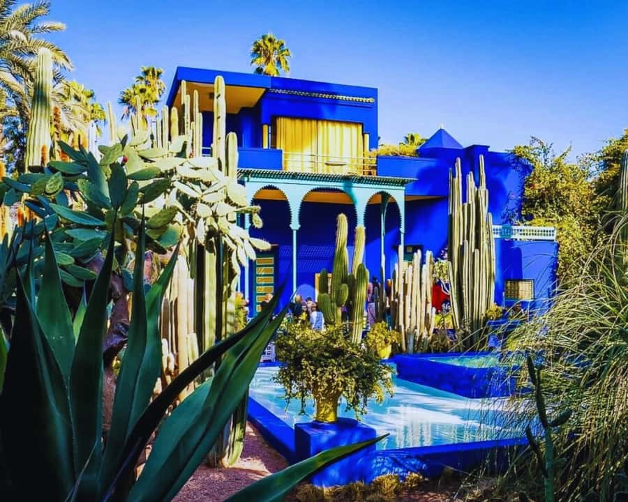 Marrakech: Majorelle & Menara Garden Tour and Carriage Ride - Menara Garden, olive trees, and the Atlas Mountains