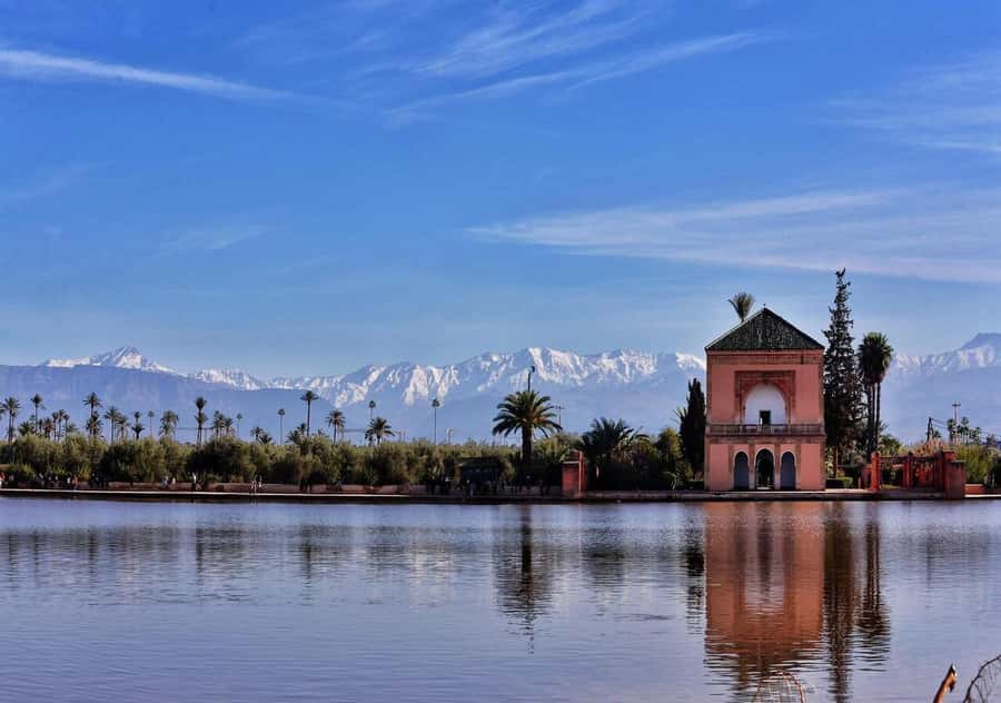 Marrakech: Majorelle & Menara Garden Tour and Carriage Ride - Guides, vehicles, and the level of service