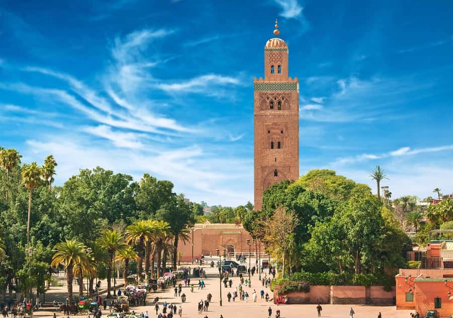 Marrakech: Majorelle & Menara Garden Tour and Carriage Ride - Who should book this Marrakech tour?